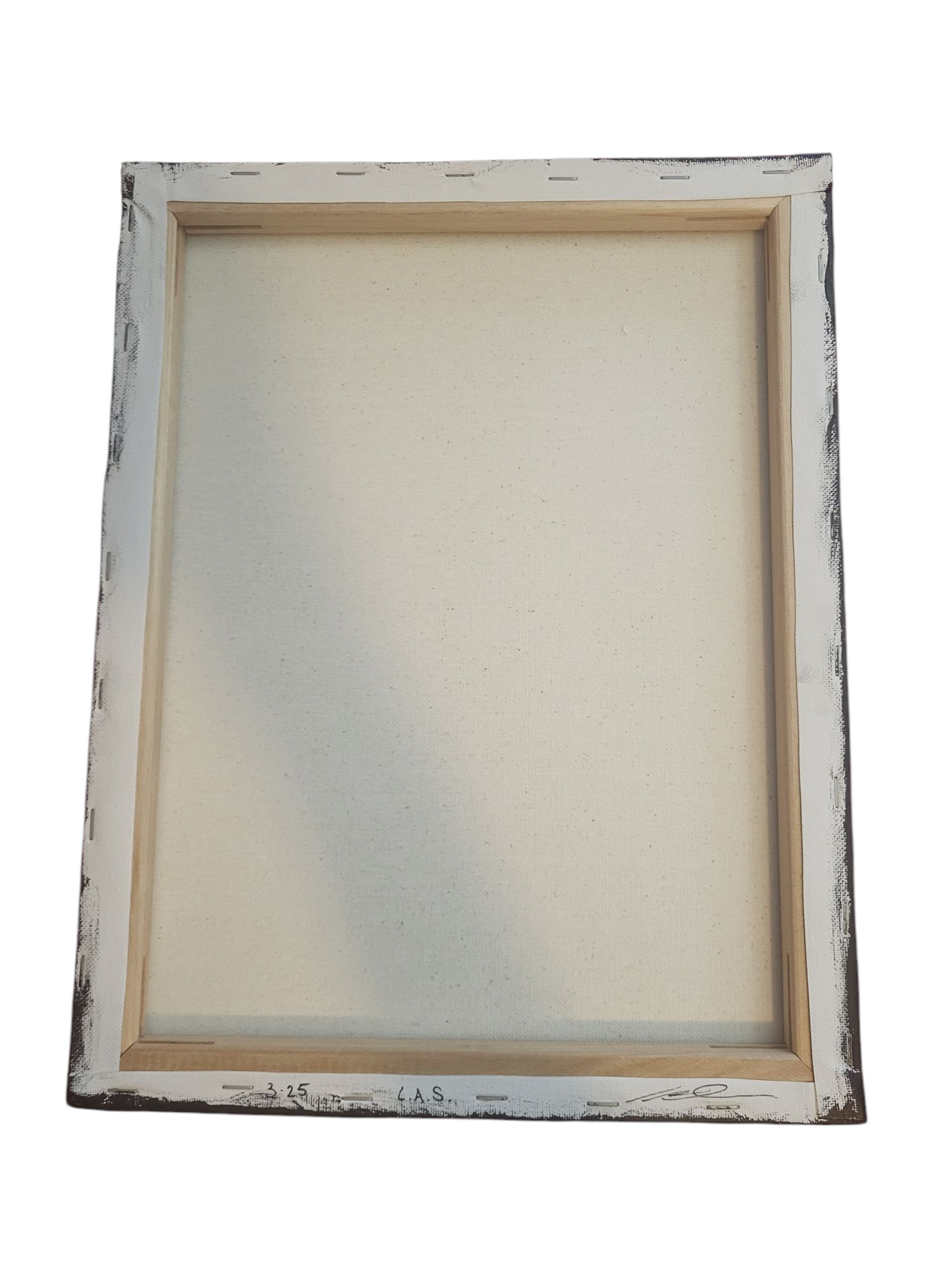 "Pokemon Harmony" Acrylic on Stretched Canvas